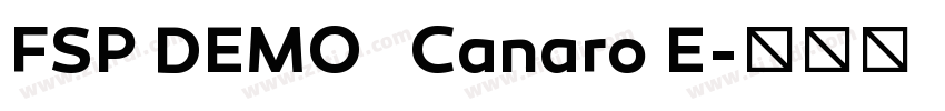 FSP DEMO   Canaro E字体转换